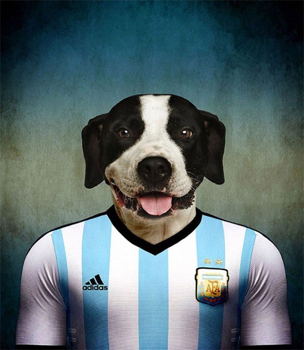 Argentina – Dogo Argentino